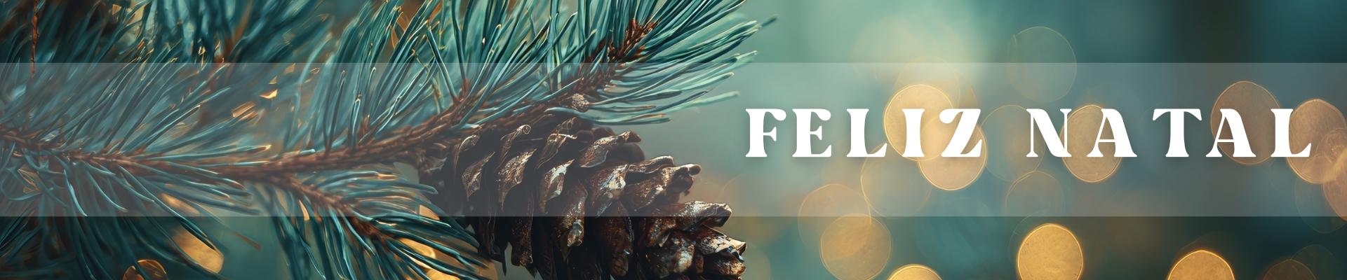 Feliz Natal 2025