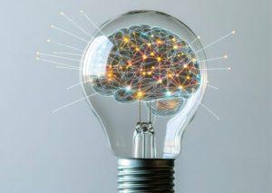 Insights Behaviour Group