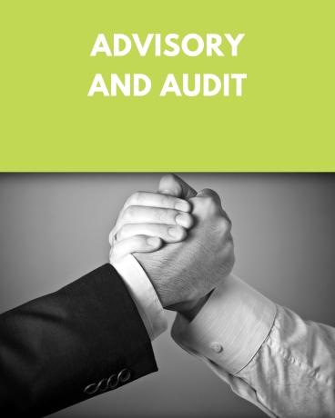 Advisory and Audit