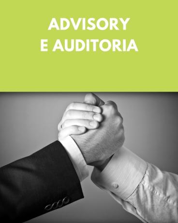 Advisory e Auditoria